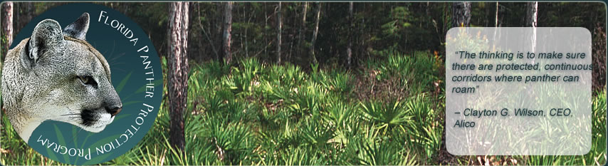 Florida Panther Protection Program